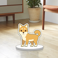 ANIMAL QUIZ - どうぶつトリビアクイズ