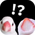 本物を探せ!そっくりさん大集合
